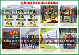 Действия населения при возникновении чрезвычайных ситуаций, фото 6