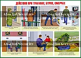 Действия населения при возникновении чрезвычайных ситуаций, фото 8